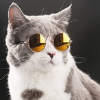 Rehgister's Avatar'