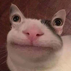 TXTmoNey62's Avatar'