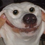 Cowco2's Avatar'