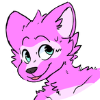 TychoRaccoon's Avatar'