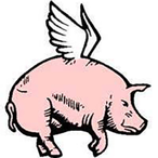 DaRealPigasus's Avatar'
