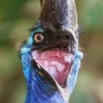 RubenGemur's Avatar'