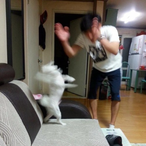 sweet_bingsoo's Avatar'