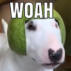 phatt chud's Avatar'