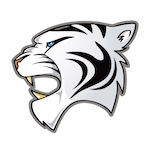 Megatron_BW's Avatar'