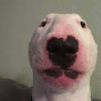 kixmlol's Avatar'