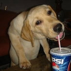 GoodPerson's Avatar'