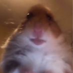 FeetManiac's Avatar'