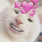 YVLdoja's Avatar'