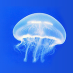 heartacheeeee's Avatar'