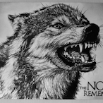 Dire_WolfX's Avatar'