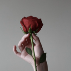 kaynsu's Avatar'