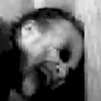 AWIZARDOF's Avatar'