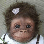 berryboof47's Avatar'