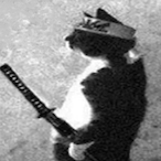 SVMURAI_-'s Avatar'