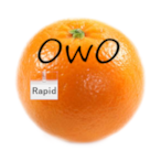 OwO.Rapid's Avatar'
