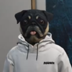 Crazydoggy698's Avatar'