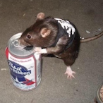 Rat-__'s Avatar'