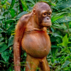 The_Beard2000's Avatar