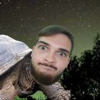 JbTurtleBoi's Avatar'