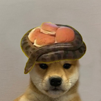 RxoStaleMemes's Avatar'
