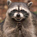 RaccNeedSnacc's Avatar'