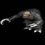 Paiterai's Avatar'
