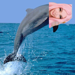 fww.giant.'s Avatar'