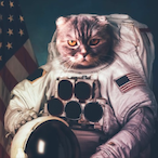 Nick_Jagger's Avatar'