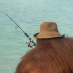 Txiga's Avatar'