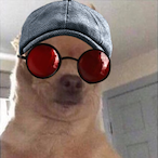 Sgt_Gustvav0's Avatar'