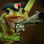 PinkFrog19's Avatar'