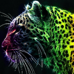 MaaaRCiii.'s Avatar'
