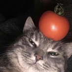 Iustwarned's Avatar'