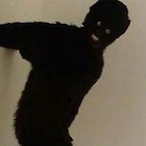 Fihtyr's Avatar'
