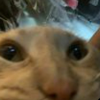 Insijun's Avatar'