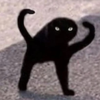 ilovenoelani298's Avatar'