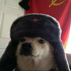 T1kkq's Avatar'