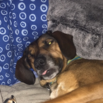 DerpyNarwal_'s Avatar'