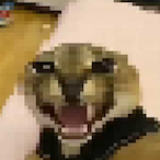 Geronimopxd's Avatar'