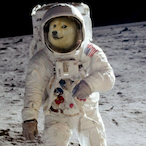 NateIsTooGreat's Avatar'