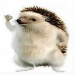 BOMBOCHA's Avatar'