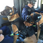 LeLawyerJames's Avatar'