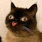 BonesAddika's Avatar'