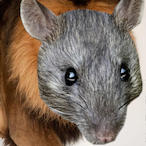 Rat-Lion's Avatar'