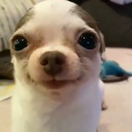 JJJJJiuqu's Avatar'