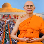 TUMMAGUYYJ's Avatar'