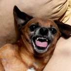 kingbean_4200's Avatar'