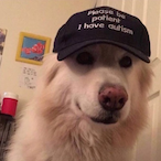 Walnuutz's Avatar'