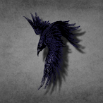 Raven.B9's Avatar'
